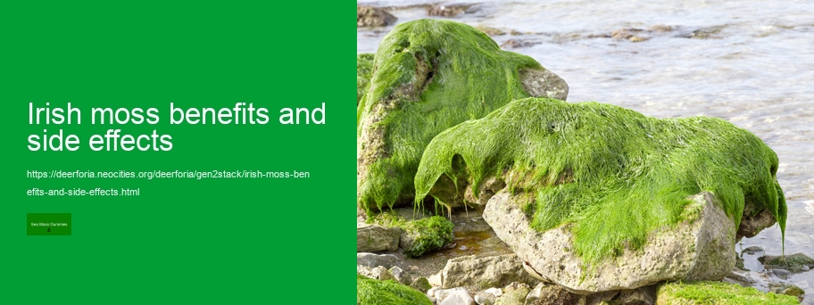 what is sea moss gummies